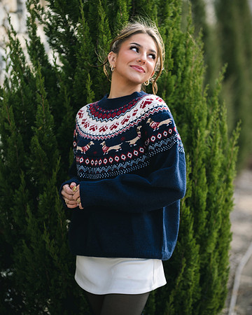 2025 December 16 358 idp