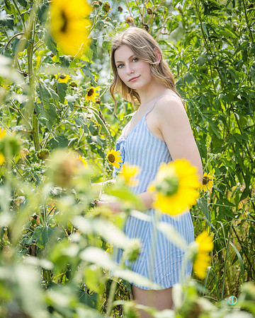 2021  July 15  133 idp